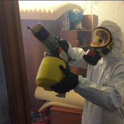 Уничтожение клопов в квартире. Щукино 